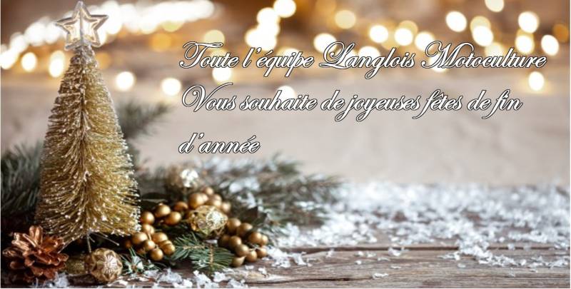 JOYEUSES FÊTES DE FIN D'ANNEE