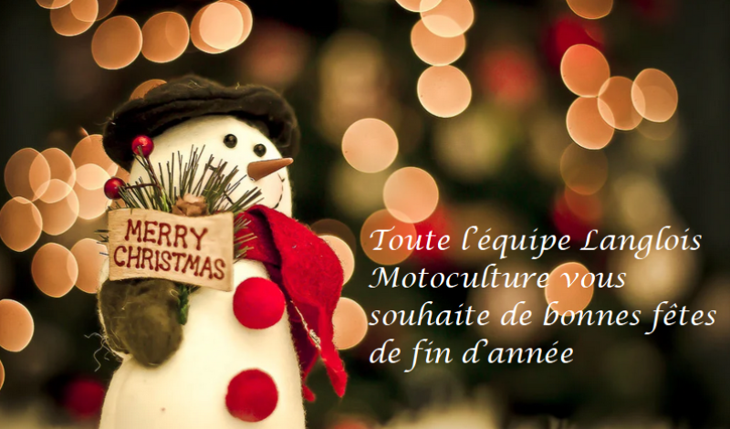 JOYEUSES FETES DE FIN D'ANNEE